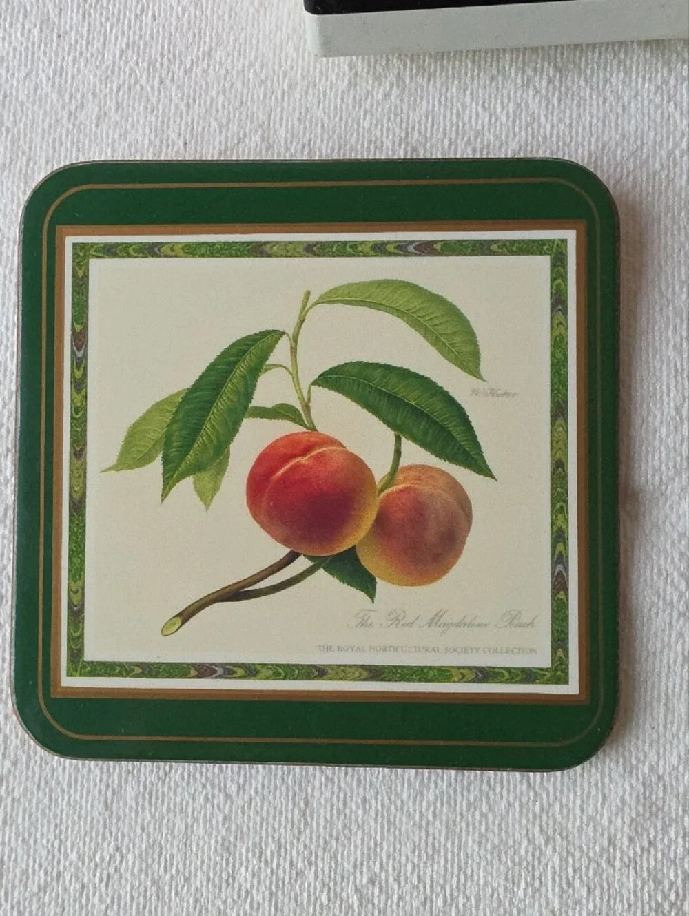 Pimpernel Vintage Botanical Fruit Coaster Set in Green and Cream